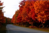 Provincial Park Road